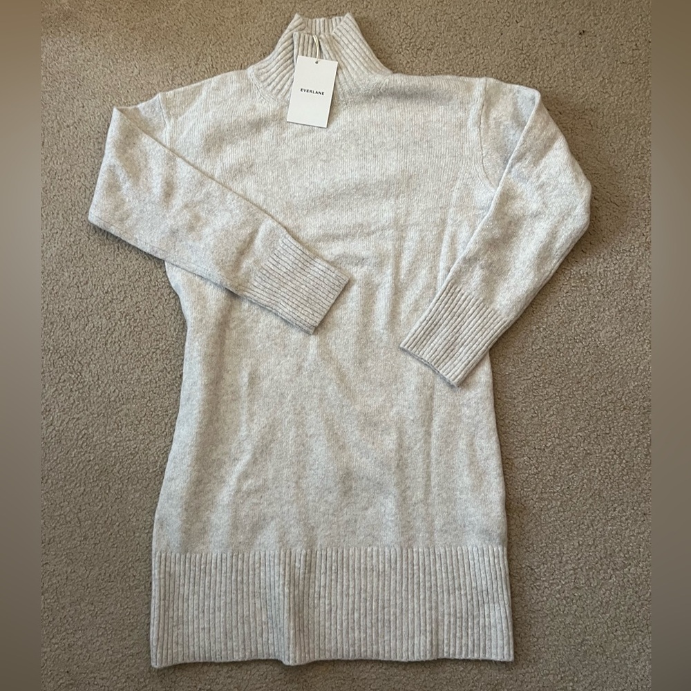 Everlane cozy turtleneck tunic